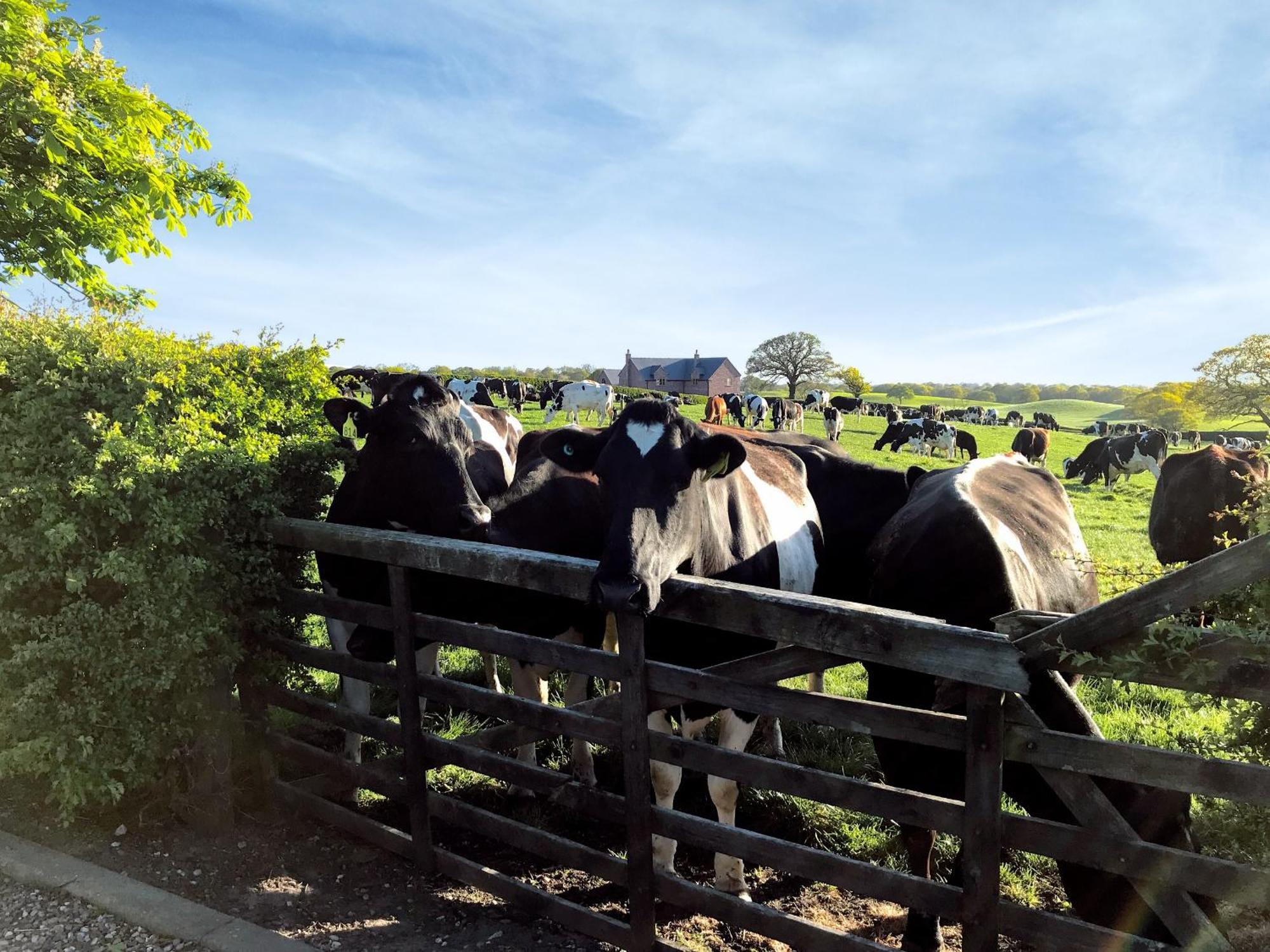 Barthomley The Stables - Uk30946ヴィラ エクステリア 写真